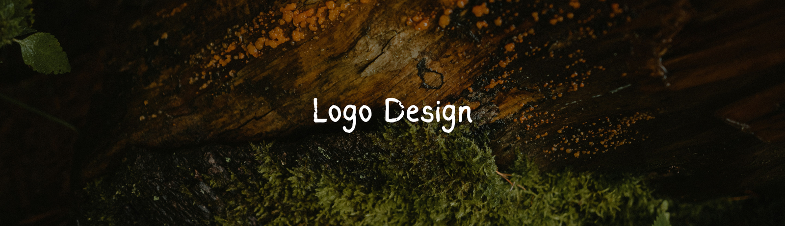 Logo Design Cover Photo