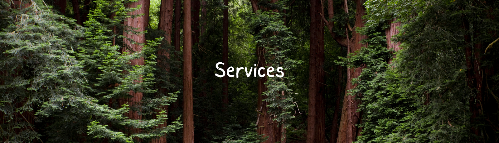 Services - Cover Photo