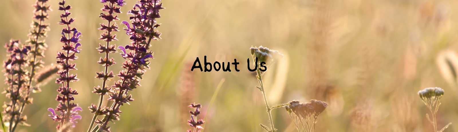 About Us - Cover Photo